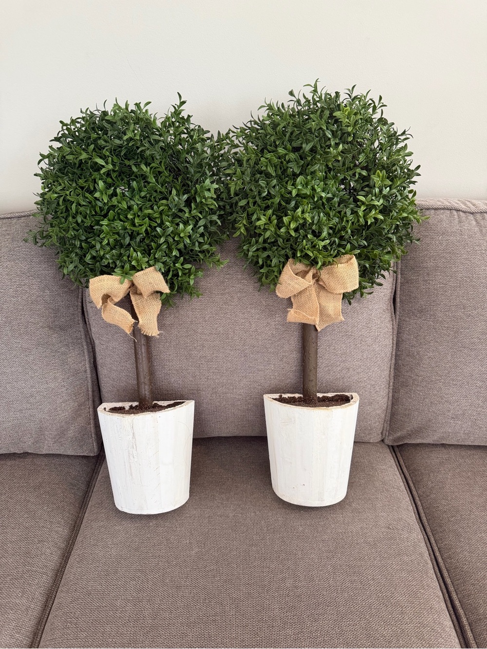 Pier 1 Green Boxwood Topiary Pair with White Pots and Burlap Bows Like New